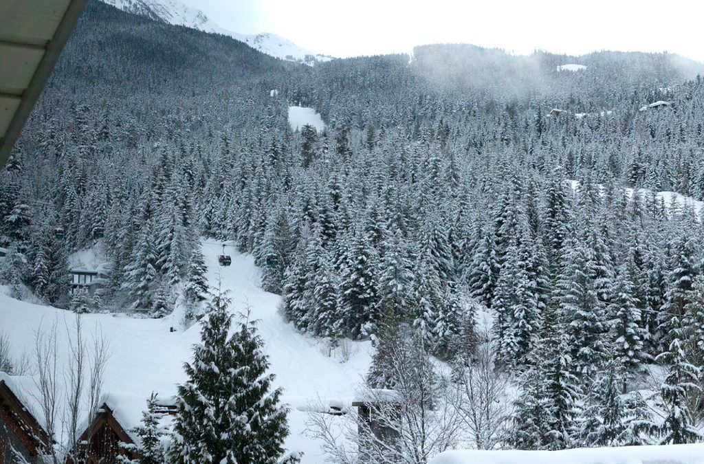 5 Bedroom Snowridge Whistler Ski In Ski Out