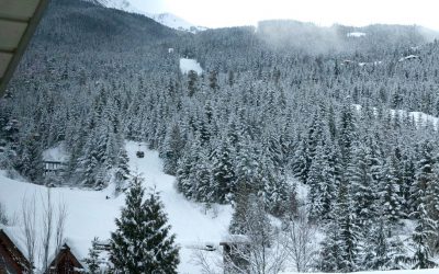 5 Bedroom Snowridge Whistler Ski In Ski Out