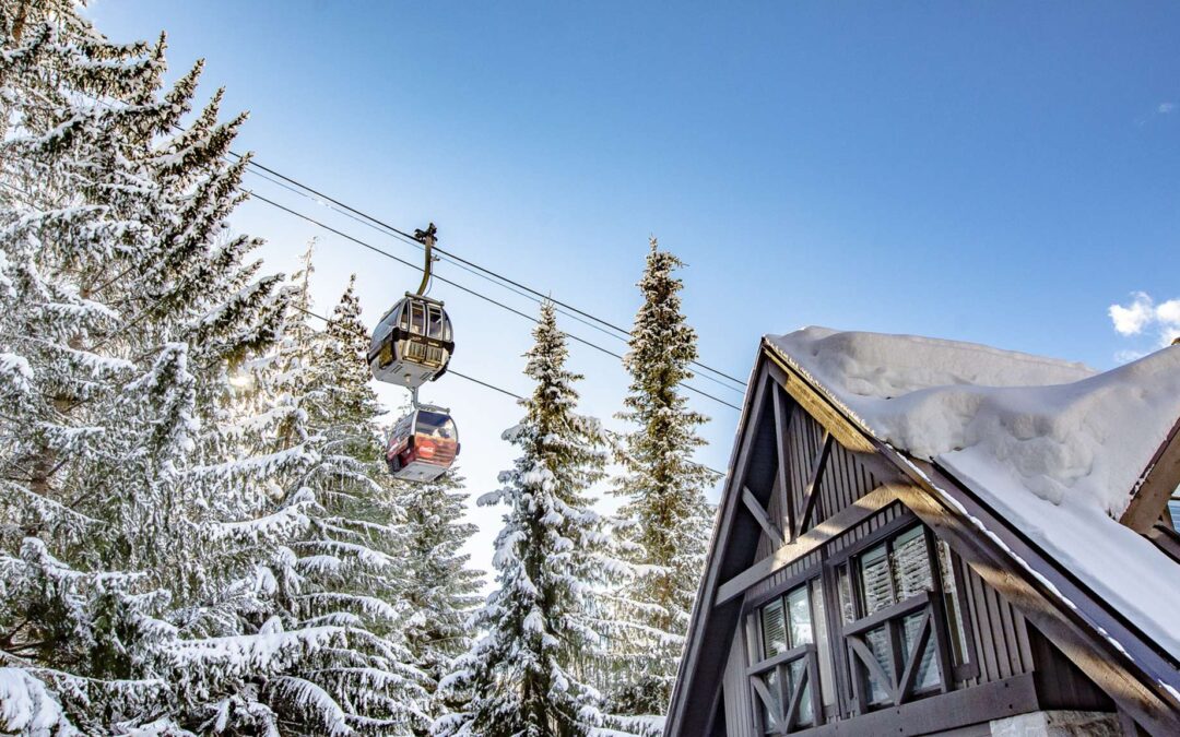 6 Bedroom Pinnacle Ridge Ski In Ski Out 600023