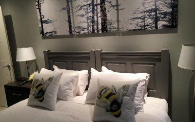 The Aspens Guide – Multiple 1 and 2 bedroom units ski in ski out on Blackcomb