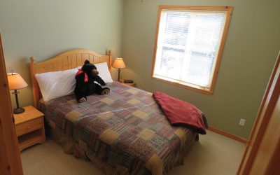 1 Bedroom Crystal Forest Sun Peaks #1