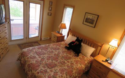 2 Bedroom Crystal Forest Sun Peaks Unit #63