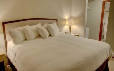 Glacier’s Reach Whistler Village Studio #101A