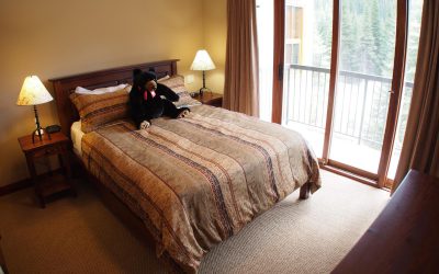 4 Bedroom + Den Sun Peaks Woodhaven Townhouse #36