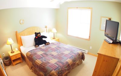 2 Bedroom Sun Peaks Crystal Forest #4