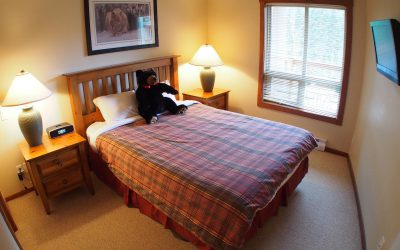 2 Bedroom Sun Peaks Fireside Lodge Unit #302