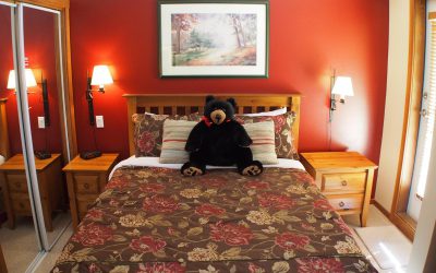 Fireside Lodge Studio Sun Peaks #203