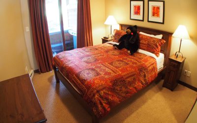 2 Bedroom Stones Throw Sun Peaks #11