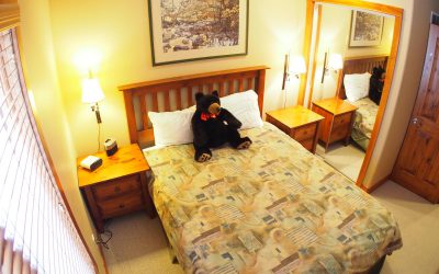 3 Bedroom Sun Peaks Timberline Village #40