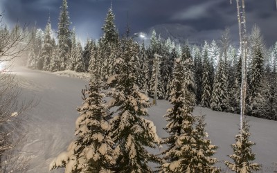 The Aspens on Whistler 2 Bedroom