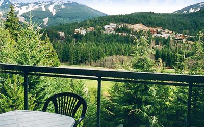 Blueberry the Lynx Whistler