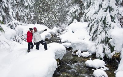 Canadian Wilderness Whistler Snowshoe Tours